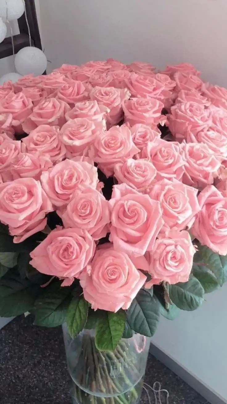 45+ Cute Valentine’s Day Wallpapers for a Romantic Mood