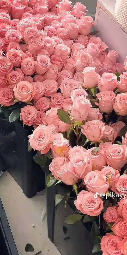 45+ Cute Valentine’s Day Wallpapers for a Romantic Mood