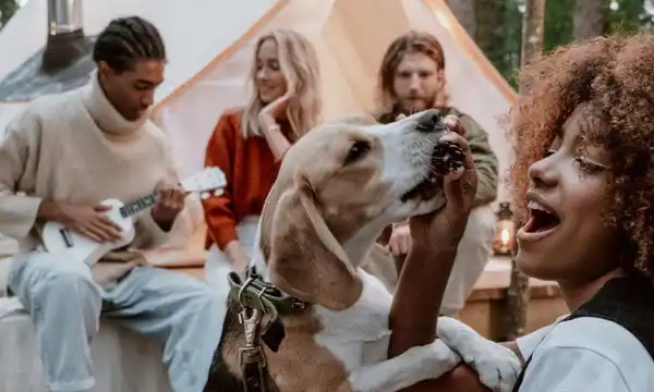 A Joint Bachelor and Bachelorette Party