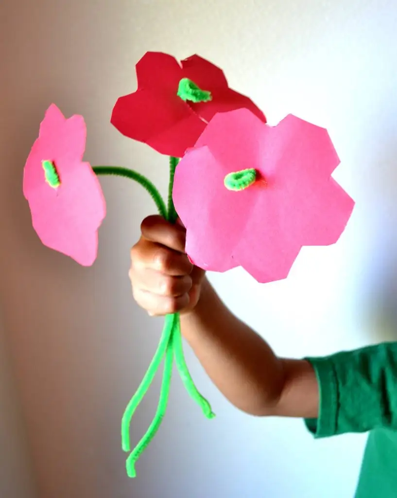 20 Easy & Colorful Pipe Cleaner Flowers